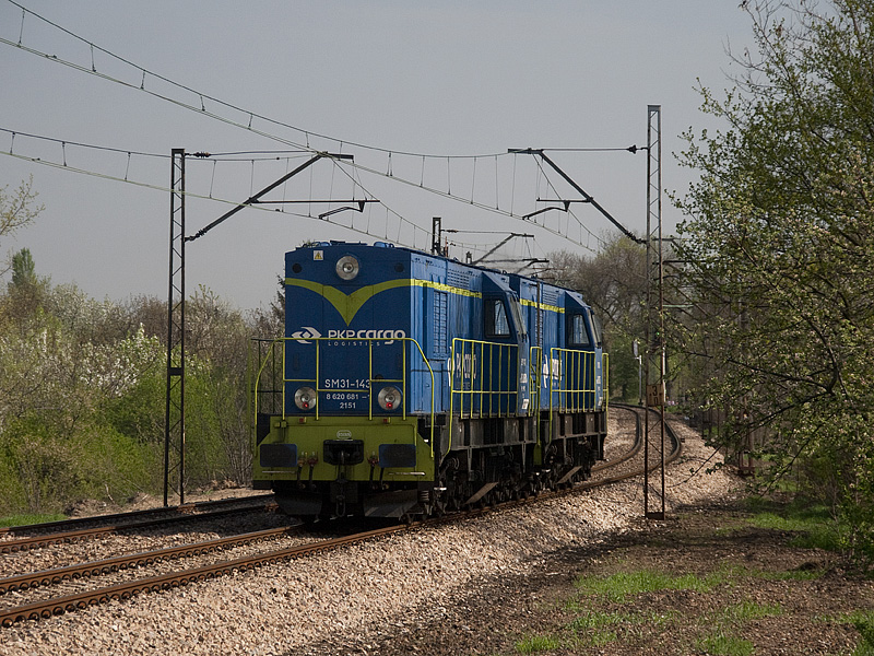 SM31-143