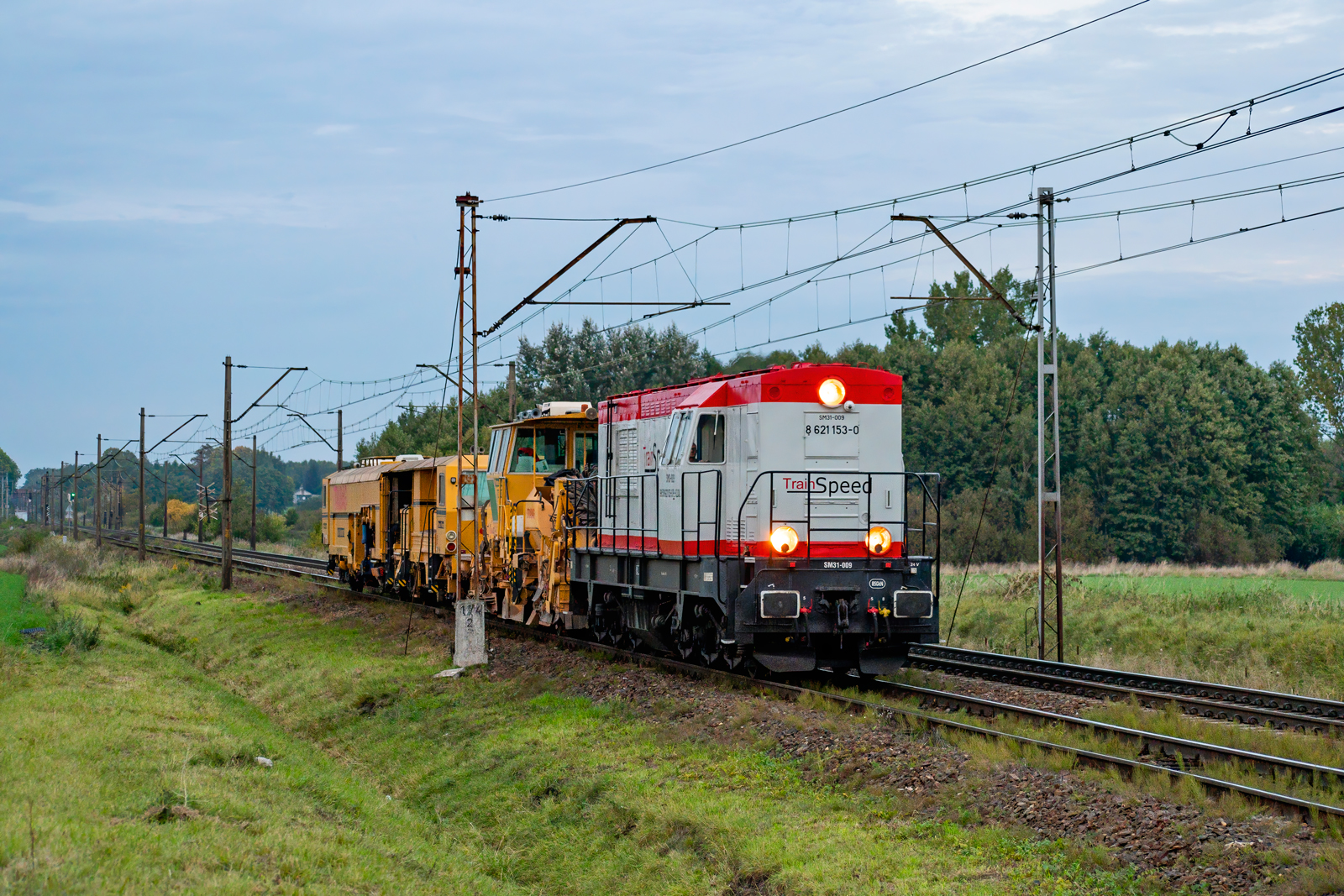 SM31-009