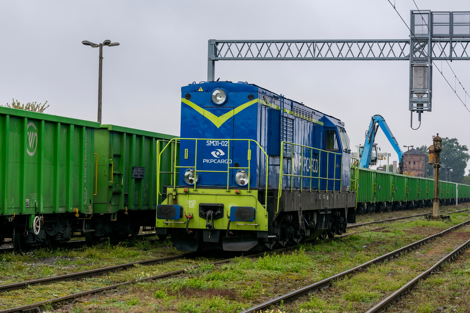 SM31-021