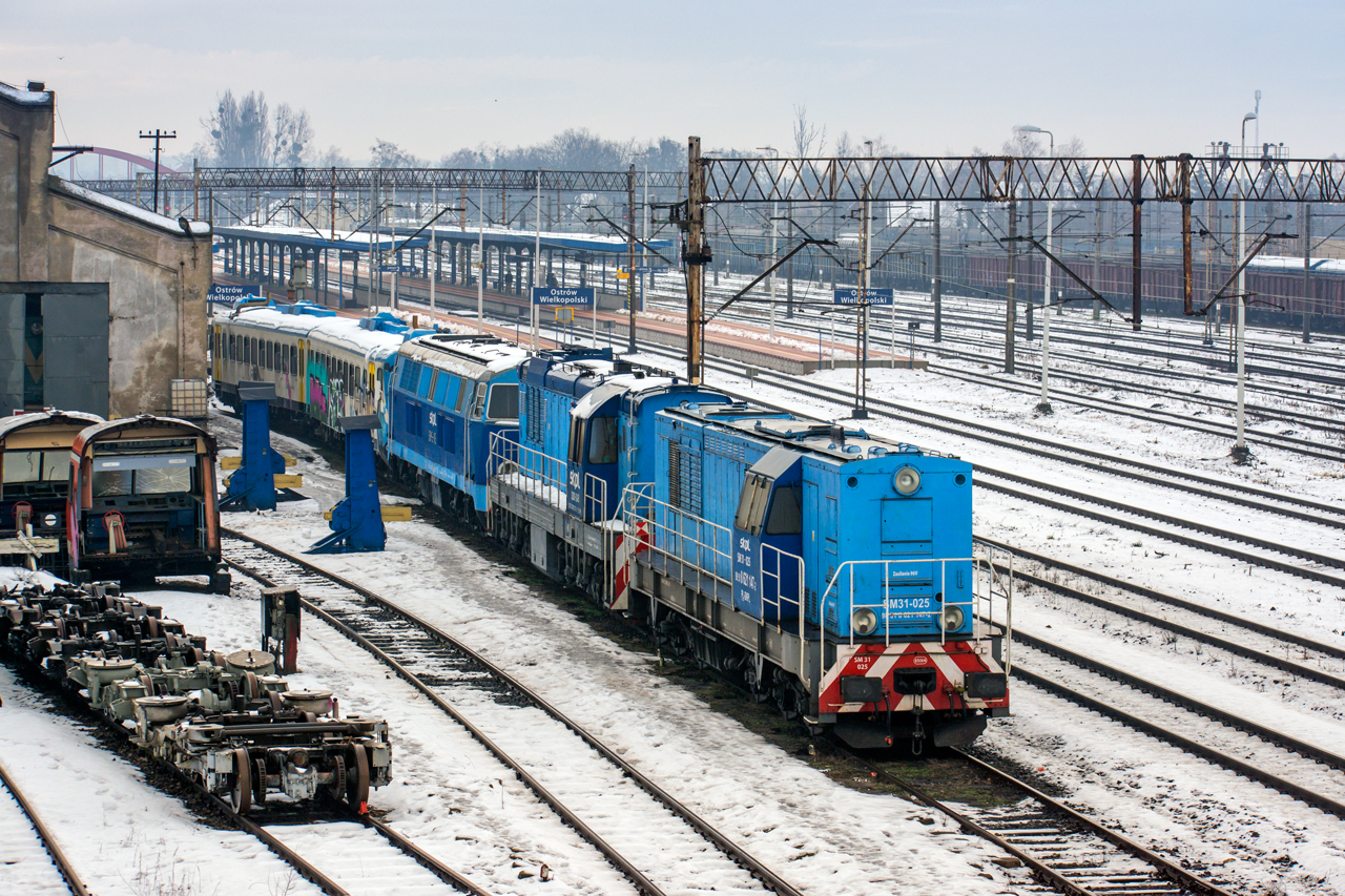 SM31-025