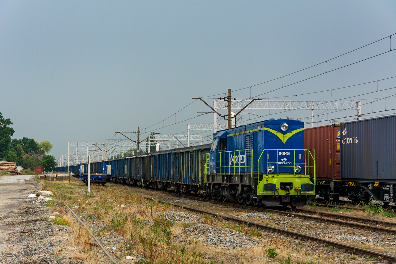SM31-101