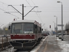 SN81-004