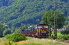T238 0010
