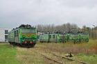 ET42-037