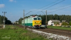 ŻÓŁTODZIÓB