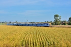 ED160-003