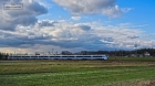 ORZESZKOWA ORZESZKOWA