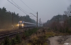 ED161-004