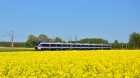 ED161-018
