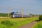 ED161-003
