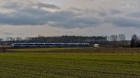 GRABOWIEC