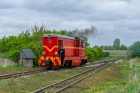 Lxd2-264