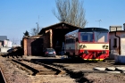 810 569-4