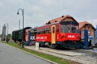 810 210-5