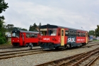 810 569-4