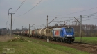 SZTYWNIAK