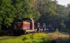 6Dg-02