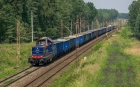 6Dg-184