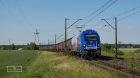 SZTYWNIAK LOTOSU