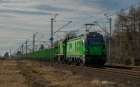 E6ACTa-015 & TEM2-304