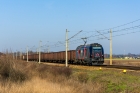 E6ACTa-016