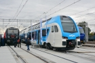 313-017