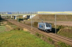 594-004