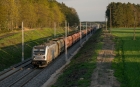 594 004