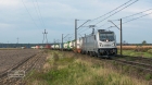 KOBYLA