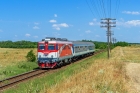 60 1156-8