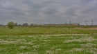KIBICE