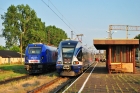 ED74-010