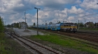 KIBICE KIBICE