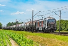 111Ed-074