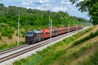 111Ed-050