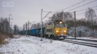 ZIMNY BYK
