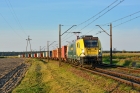 E6ACTd-103 E6ACTd-103