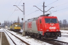 E186-133-5
