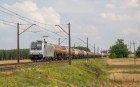 E483-256