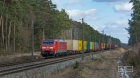 DB RED