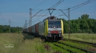 WYCZEKANY