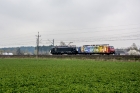 E189-206