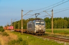 383 409