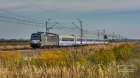 MIMOZAMI JESIEŃ SIĘ ZACZYNA... MIMOZAMI JESIEŃ SIĘ ZACZYNA...
