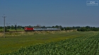 VECTRON