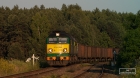 LHS ST44-2010