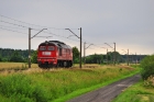 M62-1684