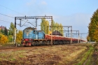 T3M2-5455