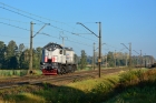 TEM2-066