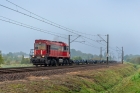 TEM2-232